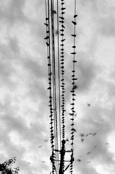 ���齫��ô����ǧ��Ƶ���㽭һ��17�˿ͳ�׹�� �෭ˮ���(ͼ)...